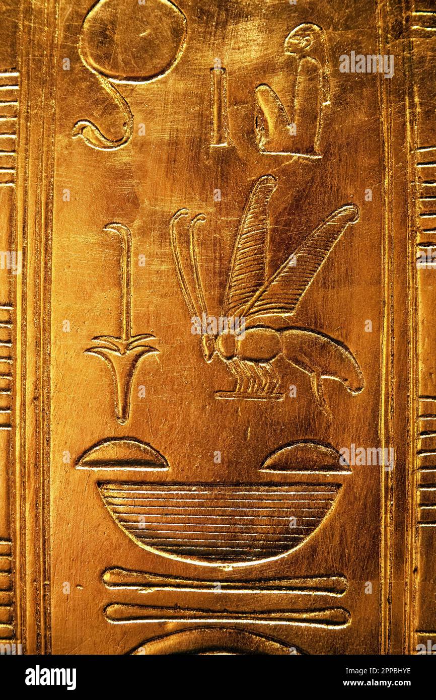 Hiéroglyphes avec une guêpe de la tombe de Toutankhamu Banque D'Images