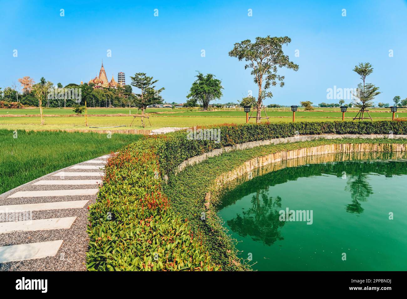 Belle vue de la passerelle et de l'étang vert entouré de magnifiques rizières avec une célèbre attraction touristique (Wat Tham Suea) de la Thaïlande à l'arrière Banque D'Images