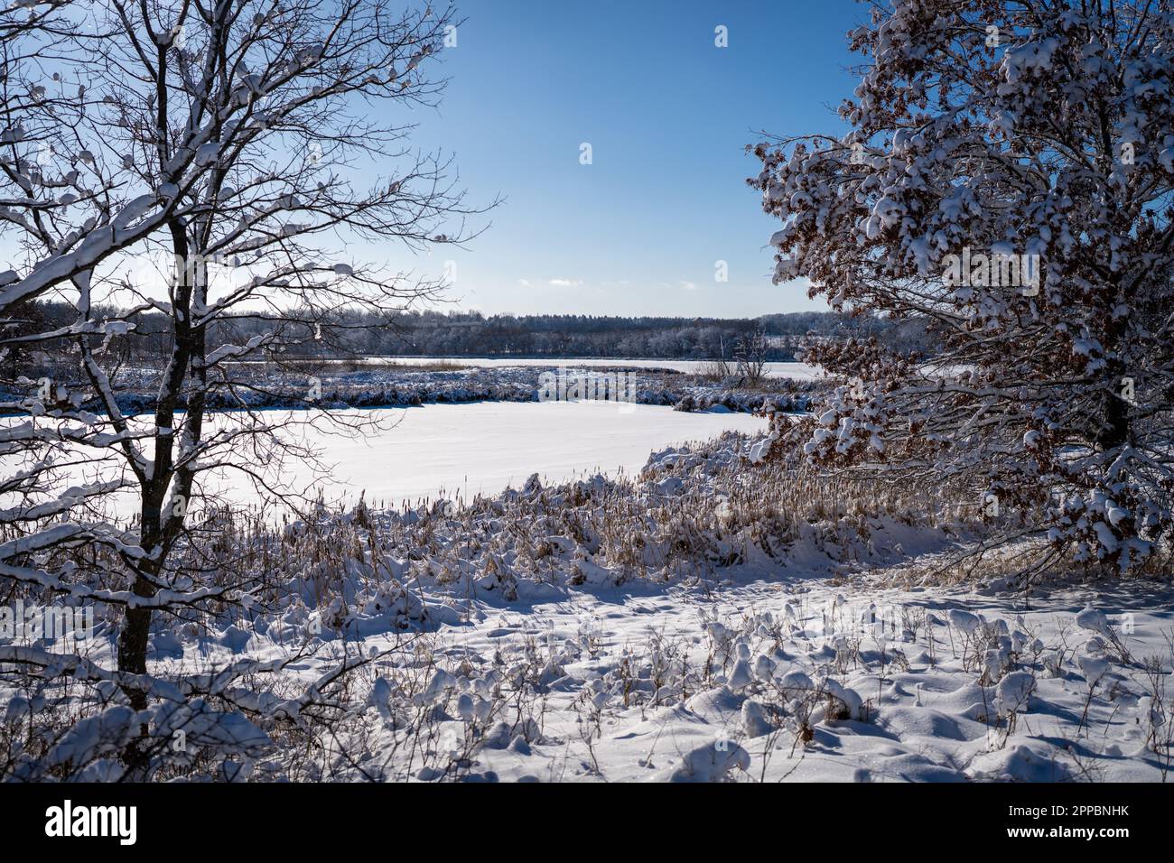 neige fraîche sur un lac gelé Banque D'Images