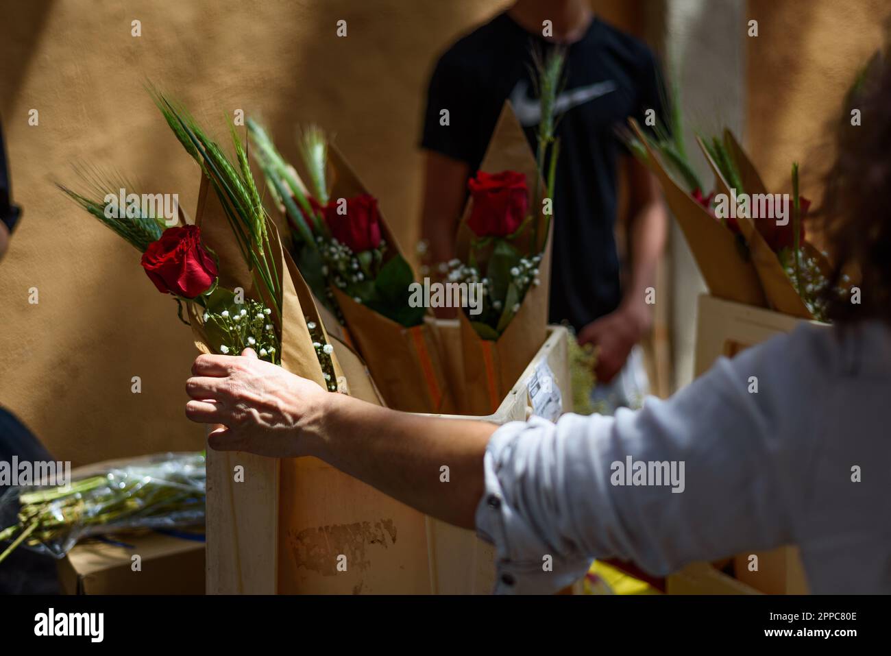 Barcelone, Espagne. 23rd avril 2023. Un gros plan de la main d'une femme qui achète des roses rouges pendant la fête catalane traditionnelle du jour de Saint George. Ce jour-là, connu sous le nom de « jour de Saint-Georges » (Diada de Sant Jordi en catalan), l'amour et la littérature sont célébrés par la vente de livres et de roses rouges dans tout le pays. Depuis l'année 1997, le slogan officiel de ce jour a été "Une rose pour l'amour, et un livre pour toujours". Crédit : SOPA Images Limited/Alamy Live News Banque D'Images