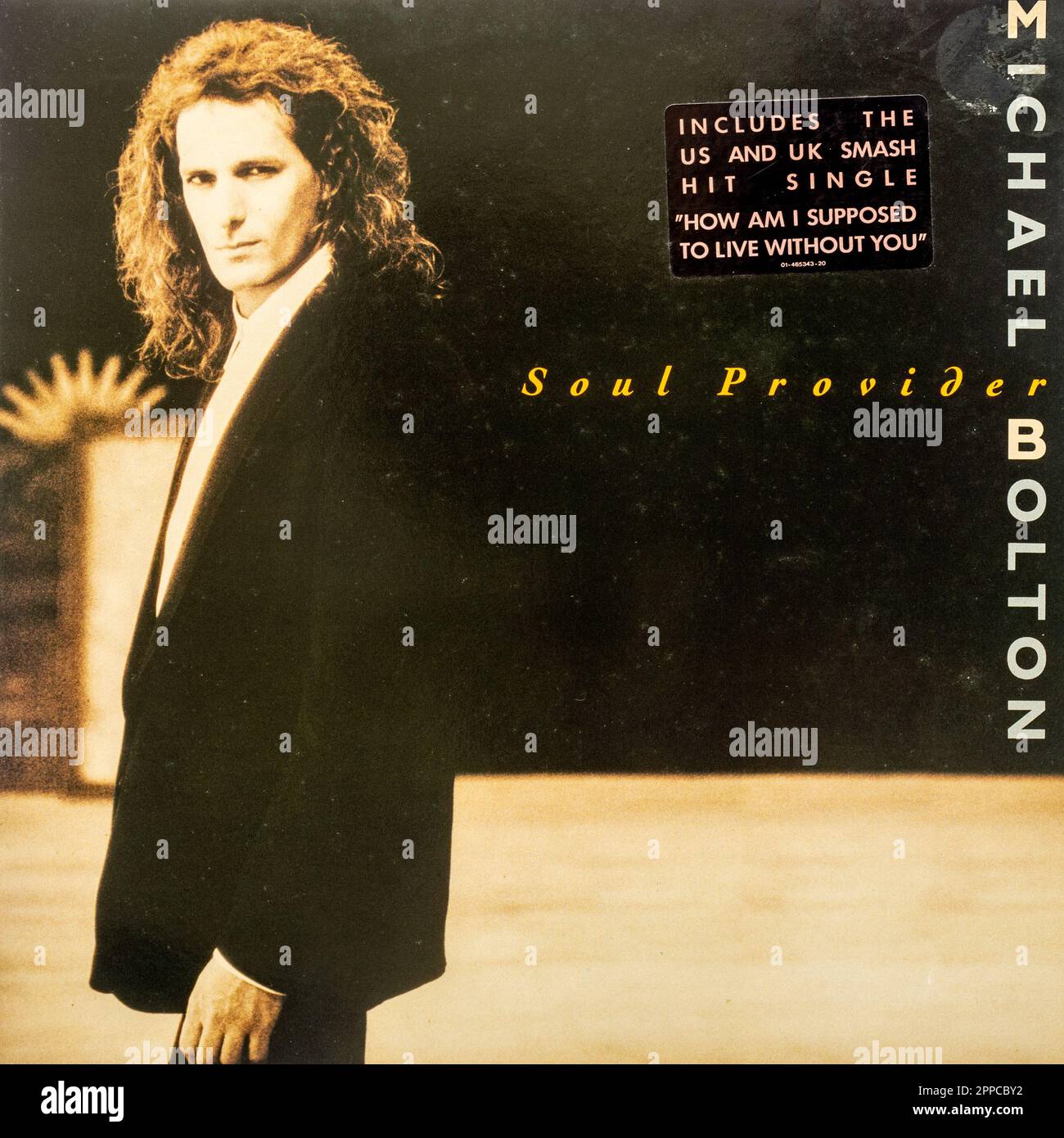 Album de Michael Bolton Soul Provider, couverture de disque en vinyle Banque D'Images