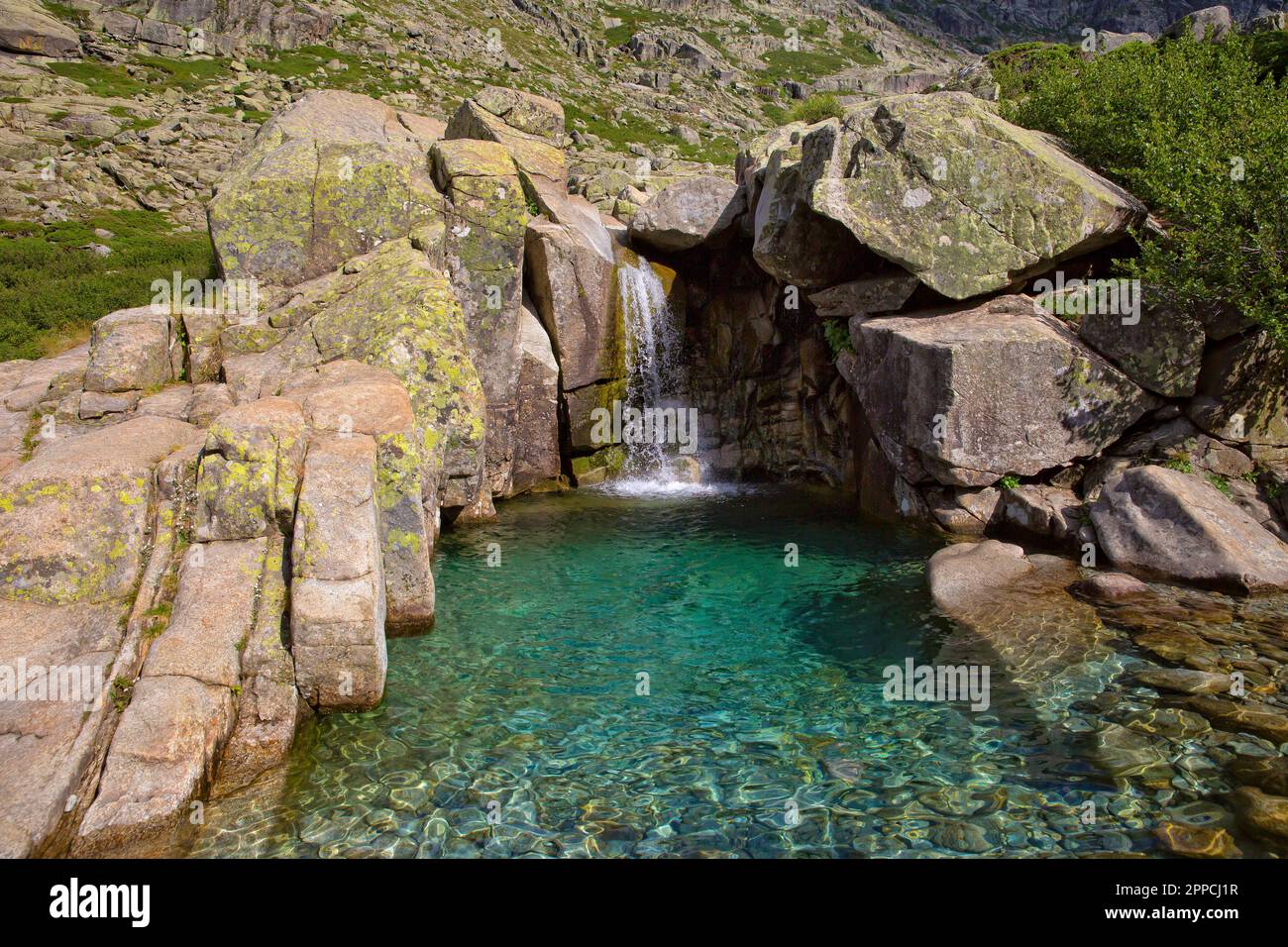 Chute d'eau naturelle, roche et piscine avec observation de vert émeraude dans la vallée de Restonica, île Corse, France Banque D'Images