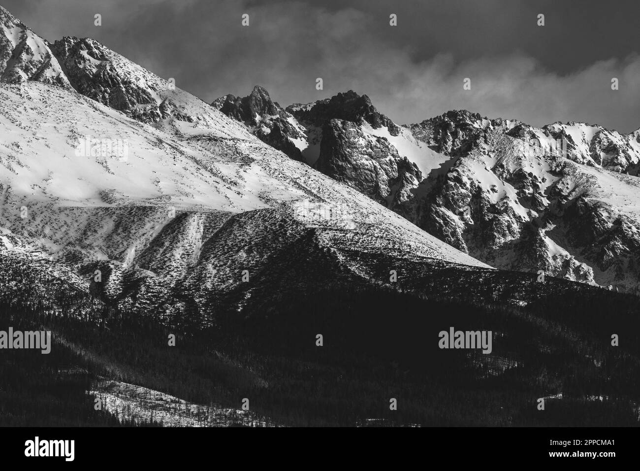 Un magnifique sho en niveaux de gris de montagnes enneigées dans un cadre d'hiver serein Banque D'Images