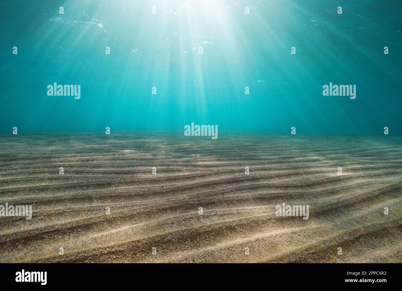 Rayons de soleil sous l'eau avec des ondulations de sable sur les fonds marins dans la mer Méditerranée, France Banque D'Images