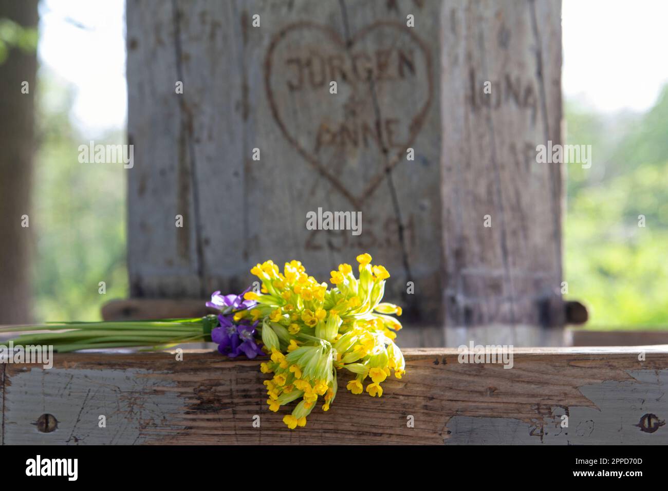 Bouquet de fleurs jaunes sur banc en bois Banque D'Images