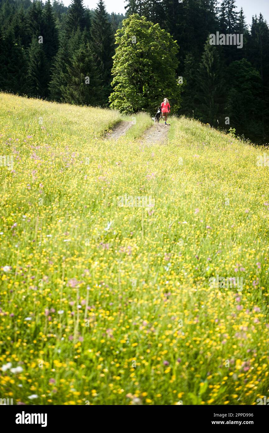 Femme en train de courir avec un chien par beau temps Banque D'Images