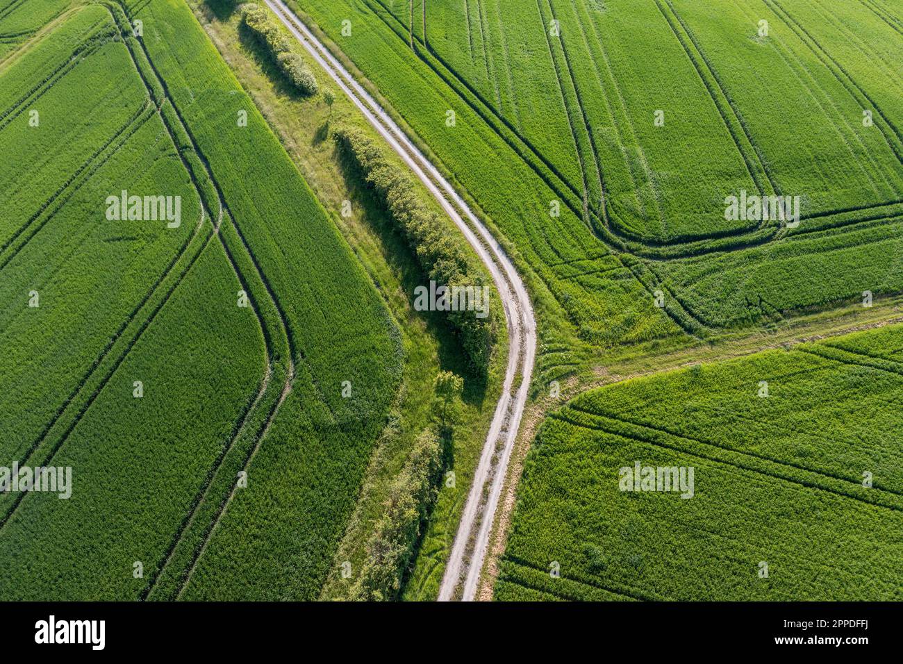 Allemagne, Bavière, vue aérienne de la route de terre s'étendant à travers les champs verts au printemps Banque D'Images