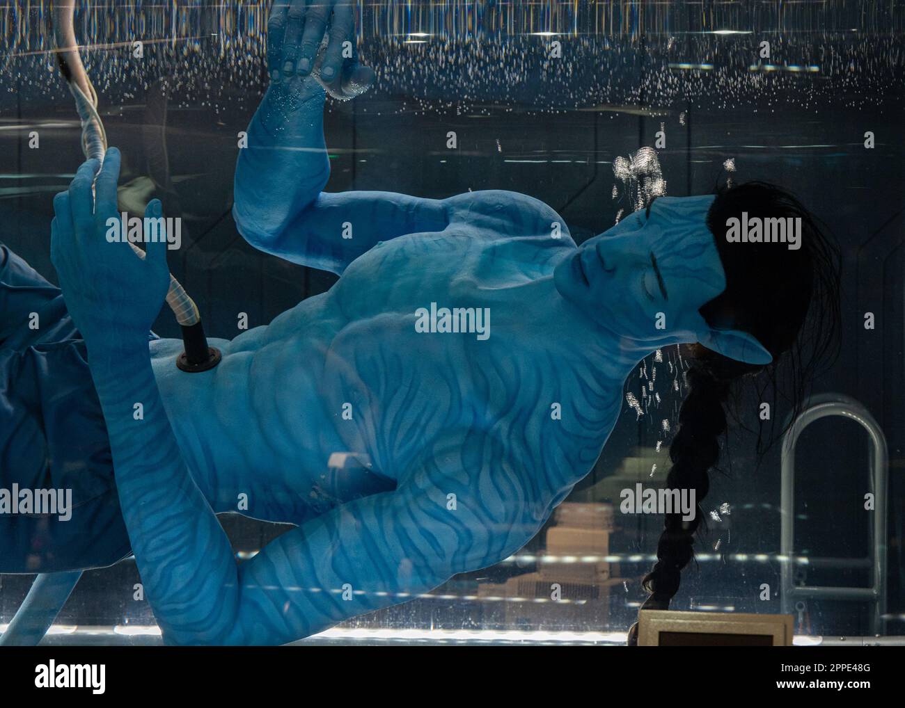 Le monde incroyable de Pandora. Banque D'Images