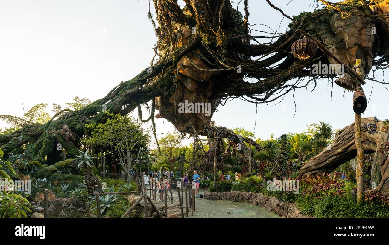 Le monde incroyable de Pandora. Banque D'Images