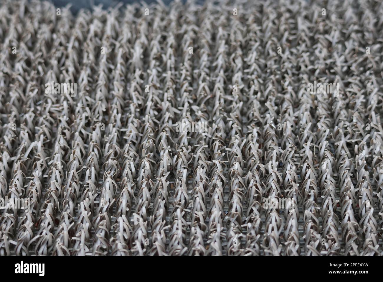 Fibres de tapis d'extérieur en gros plan. Vue macro des poils de tapis de porte. Banque D'Images