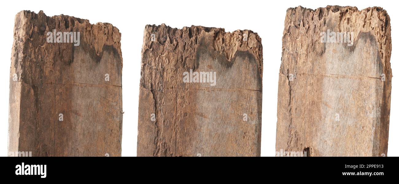 ensemble de vieux planches de bois pourri, naturellement détérioré en raison de l'exposition à l'humidité ou de termites altérées et termites bois panneaux de signalisation, coupé Banque D'Images