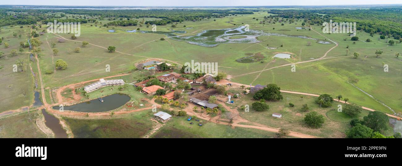 Panorama aérien de paysage typique avec des prairies, des lagons et des forêts dans les zones humides du Pantanal, Mato Grosso, Brésil Banque D'Images