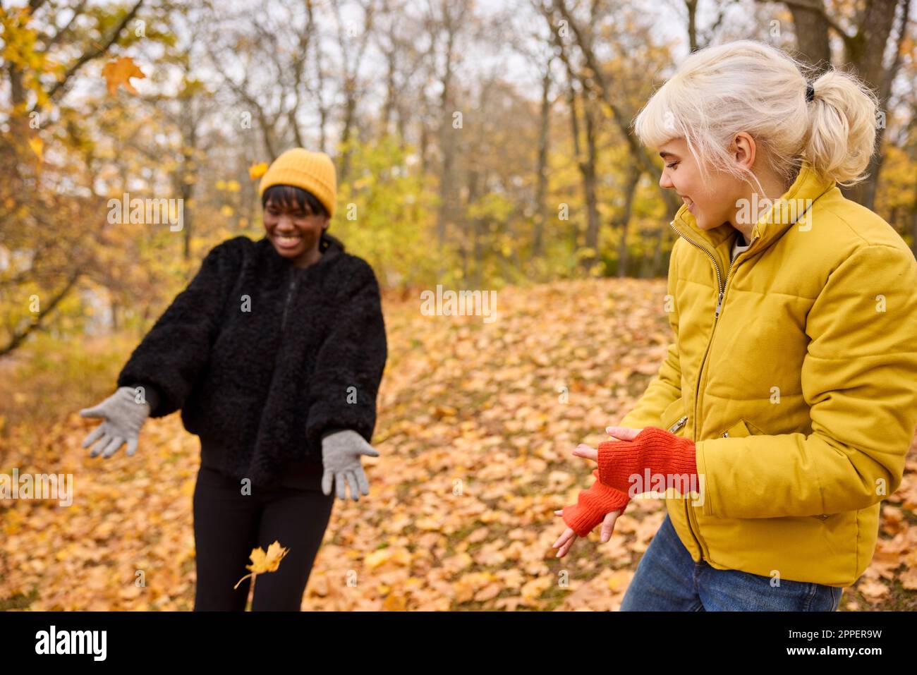 De jeunes amis heureux jetant des feuilles d'automne Banque D'Images