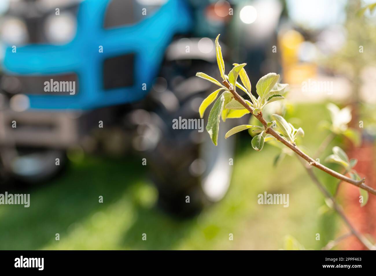 Tracteur agricole dans le verger de pomme le jour ensoleillé d'été, accent sélectif sur la branche d'arbre avec des feuilles Banque D'Images