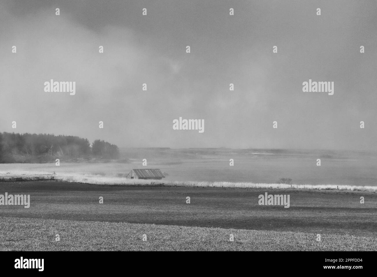Humer dans la brume Banque D'Images