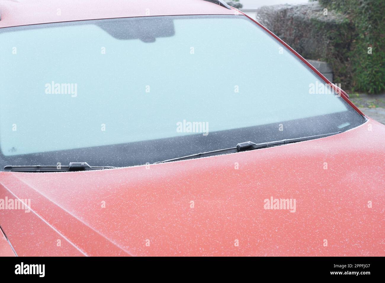 Voiture avec une fenêtre gelée Banque D'Images