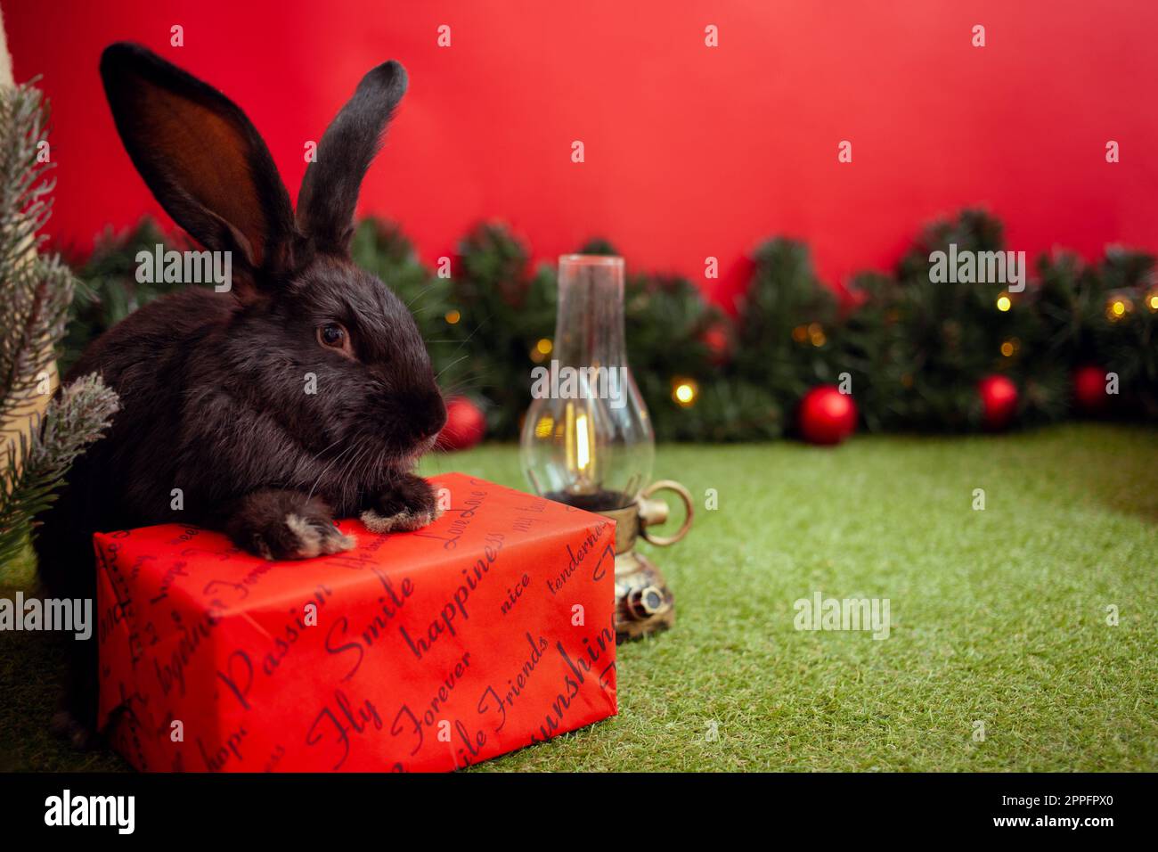 Symbole du lapin noir 2023 calendrier chinois, voeux du nouvel an, carte de Noël, espace de copie pour le texte, fond rouge. Beau lièvre sur bannière, sapin de Noël décoré. magique. Banque D'Images
