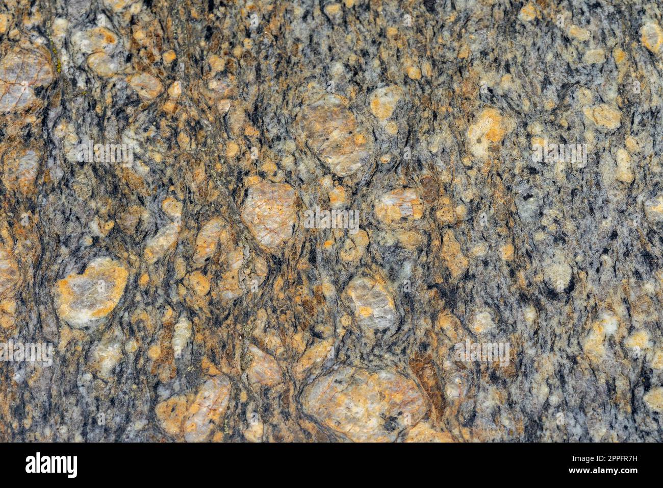 texture de la gemmologie de la pierre gneiss des yeux Banque D'Images