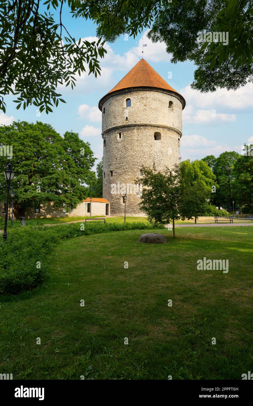 Kiek in de KÃ¶k Musée et tunnels de bastion à Tallinn, Estonie Banque D'Images