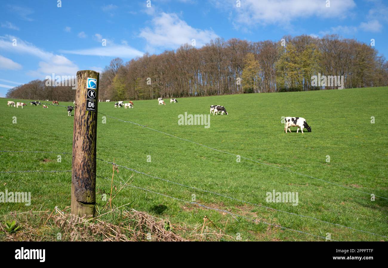 Waypoint de DhÃ¼nnweg près d'Odenthal, Allemagne Banque D'Images