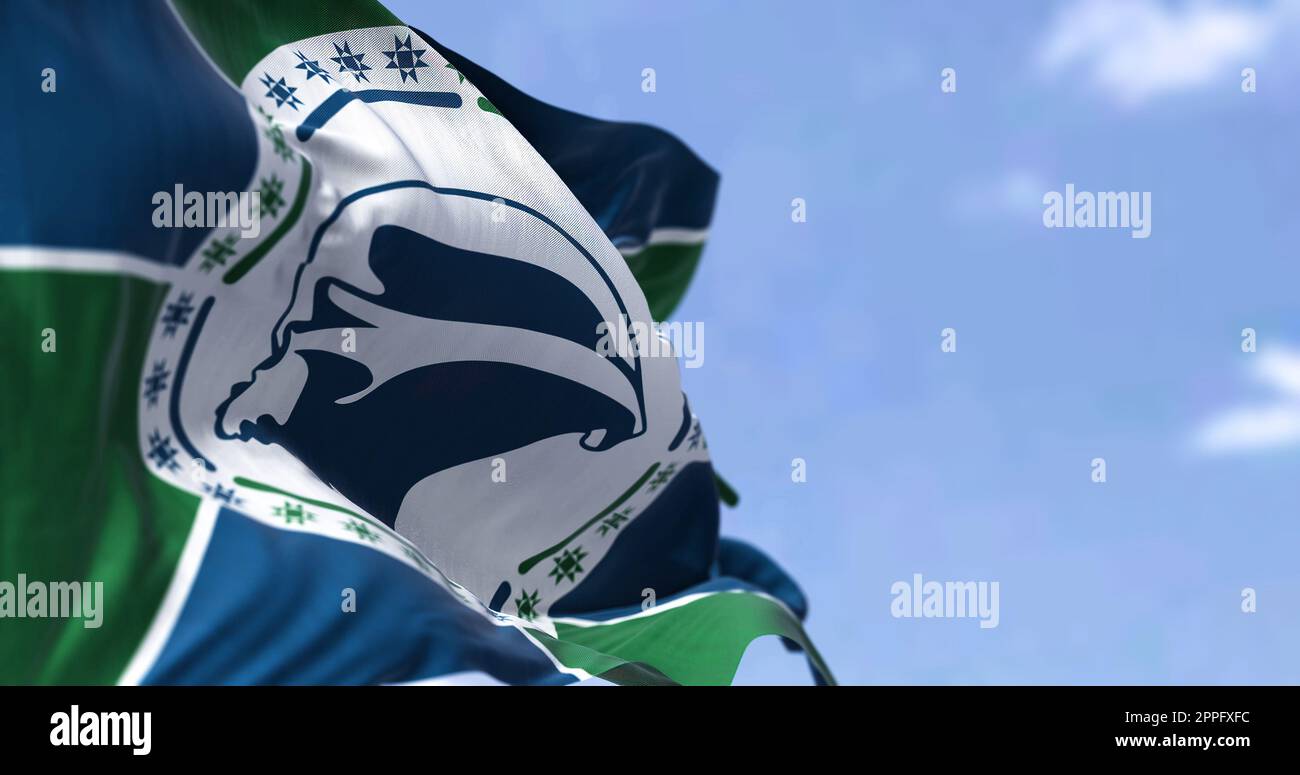 Drapeau de la Martinique agitant dans le vent par temps clair Banque D'Images