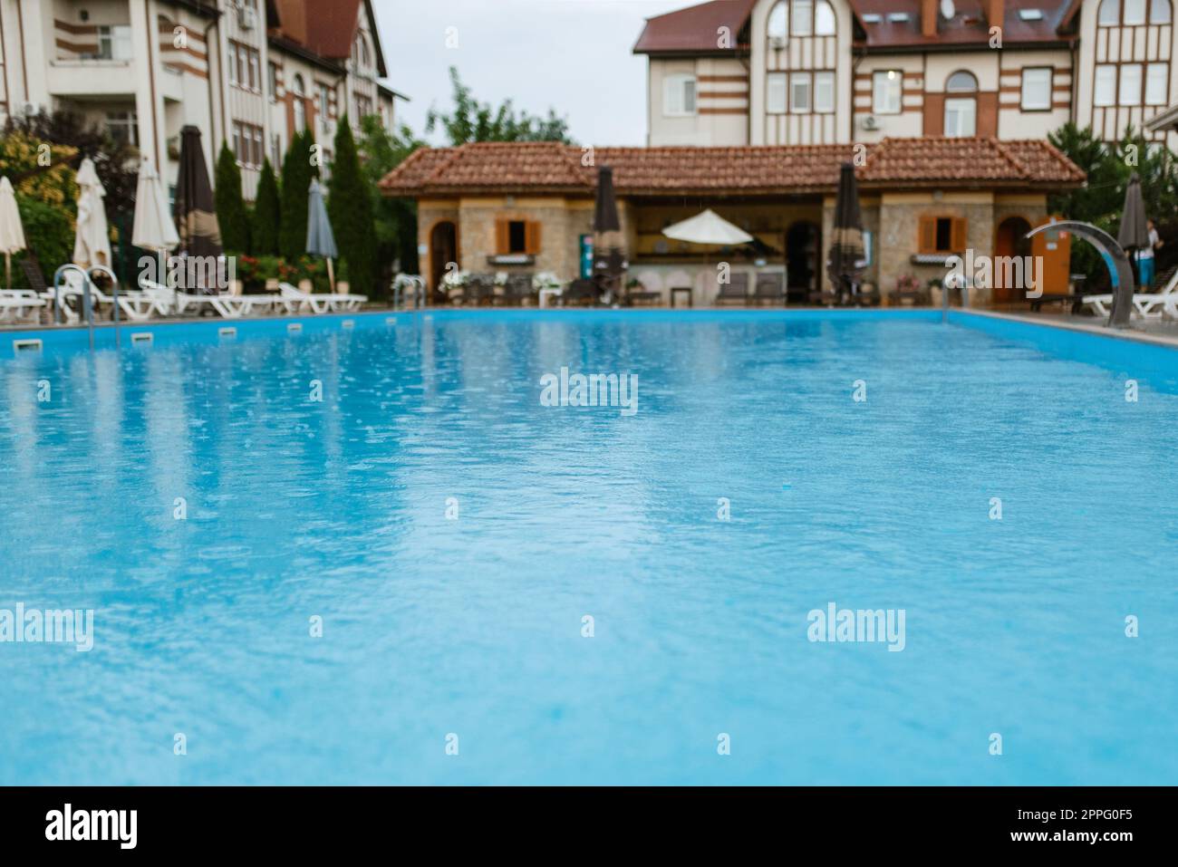 Blue piscine extérieure dans le jardin entouré de conifères Banque D'Images