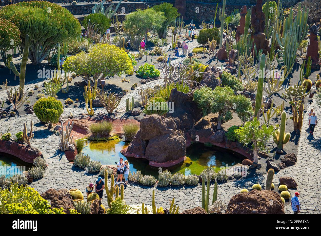 Vue sur les touristes visitant le jardin botanique de cactus de Cesar Manrique à Lanzarote Banque D'Images