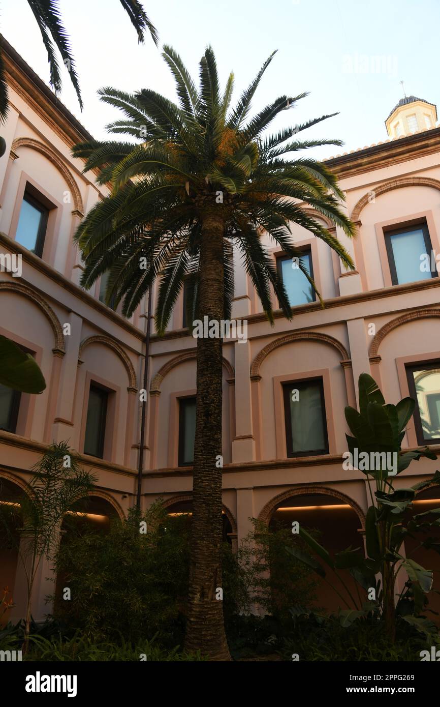 Façades de maisons, paysages urbains à Valence, province de Valence, Espagne, mars 2023 Banque D'Images