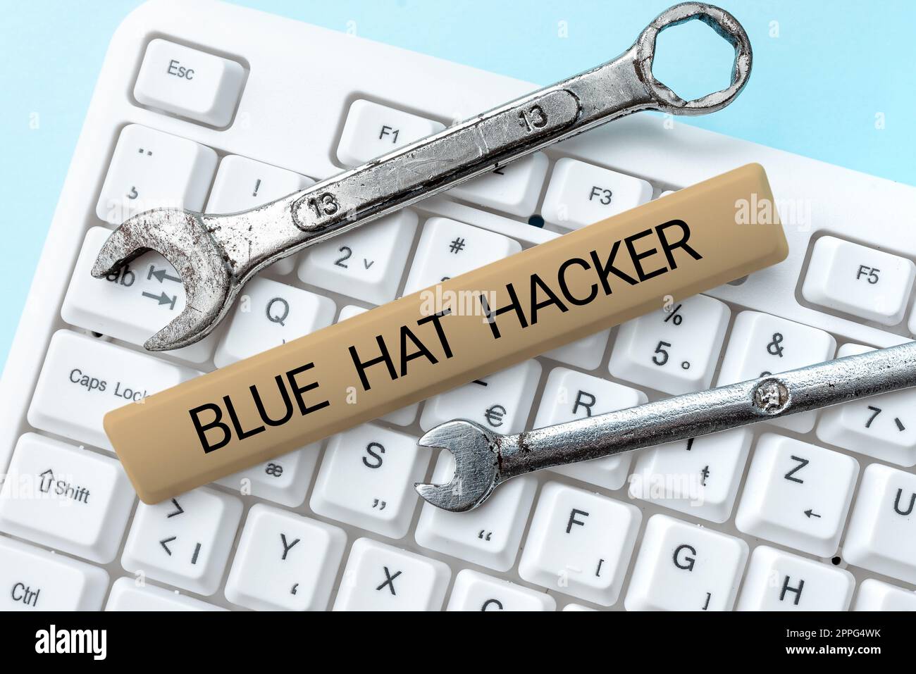Affiche manuscrite Blue Hat Hacker. Aperçu de l'entreprise personne cabinets de conseil qui bug système avant son lancement -48570 Banque D'Images