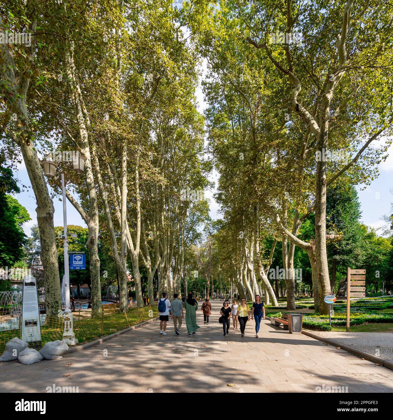 Piétons marchant dans un passage avec d'énormes arbres dans le parc Gulhane en été, district de Sultan Ahmet, Istanbul, Turquie Banque D'Images