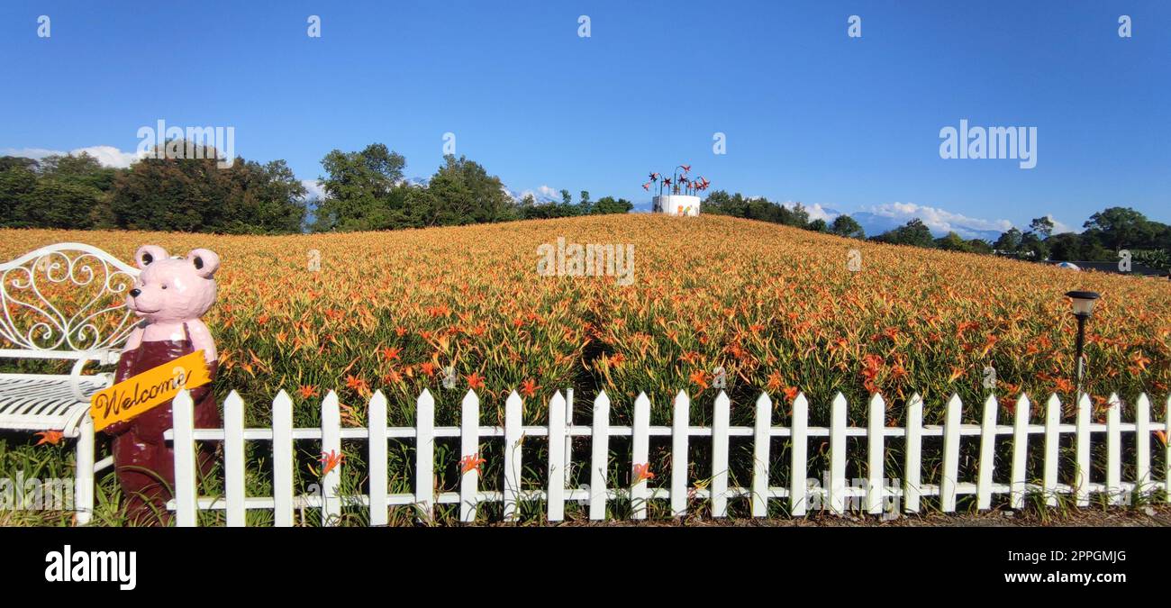 La belle montagne de fleurs de jour de l'est de Taïwan Banque D'Images