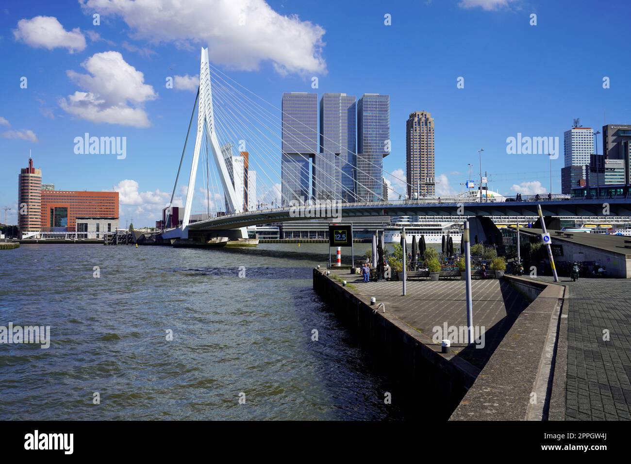 ROTTERDAM, PAYS-BAS - 9 JUIN 2022 : horizon de Rotterdam avec le pont d'Erasaumubrug et les gratte-ciels, pays-Bas Banque D'Images