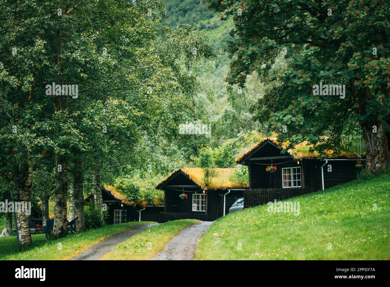 Vieilles maisons en bois norvégiennes traditionnelles avec pelouse sur le toit. Cabines en Norvège Banque D'Images