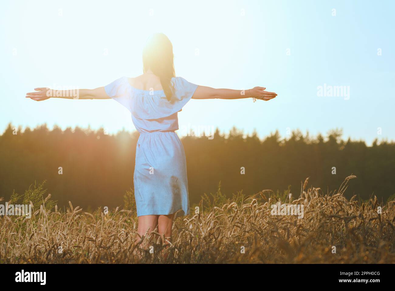 Belle jeune fille en champ de blé au coucher du soleil. Fille en robe bleue occasionnels bénéficiant d soirée ensoleillée Banque D'Images