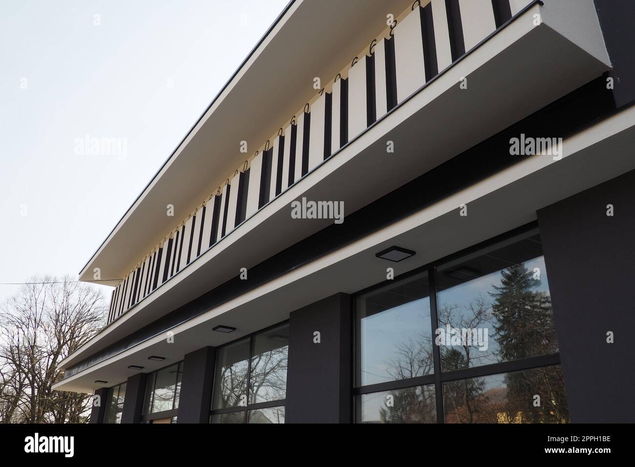 Bâtiment moderne. Thuja avec une couronne cisaillée en forme. Aménagement paysager moderne. Belle décoration du jardin, pelouse, territoire de la maison. Mur gris avec décor rayé, grandes fenêtres vitrées. Banque D'Images