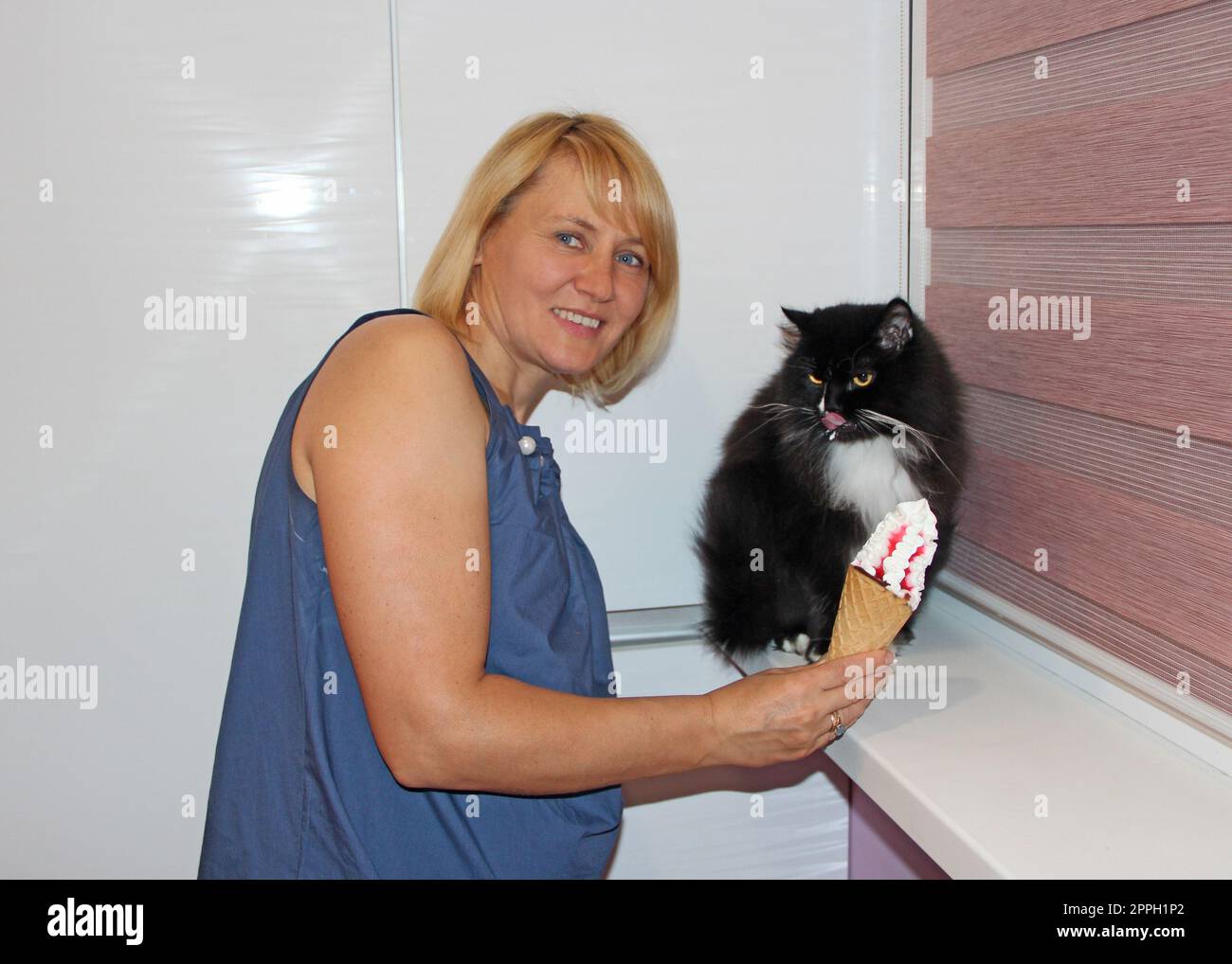 human hand propose à un chat noir de manger de la crème glacée. Chat surpris avec de la crème glacée Banque D'Images