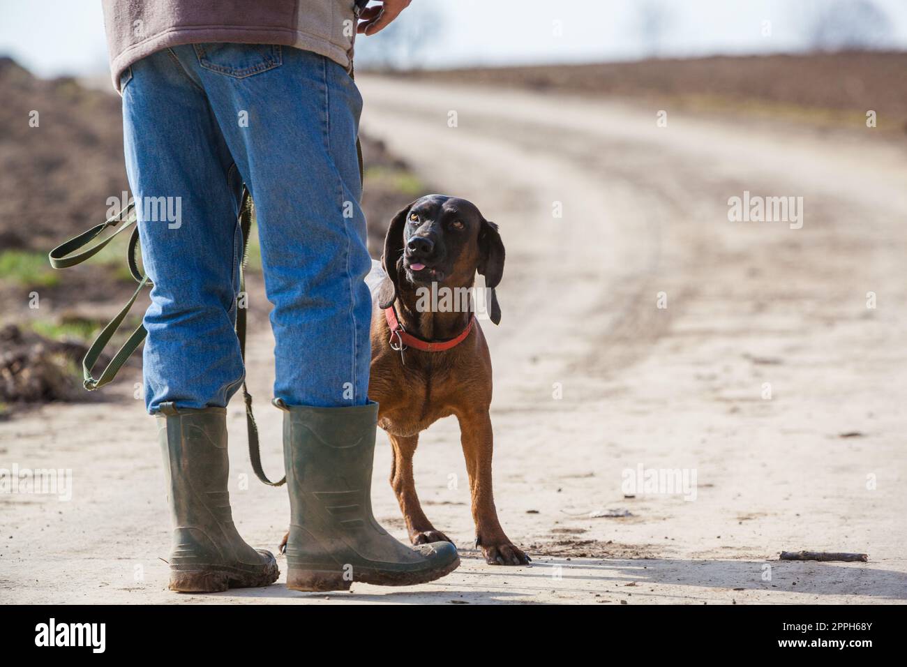 chien sniffer regarde son propriétaire Banque D'Images