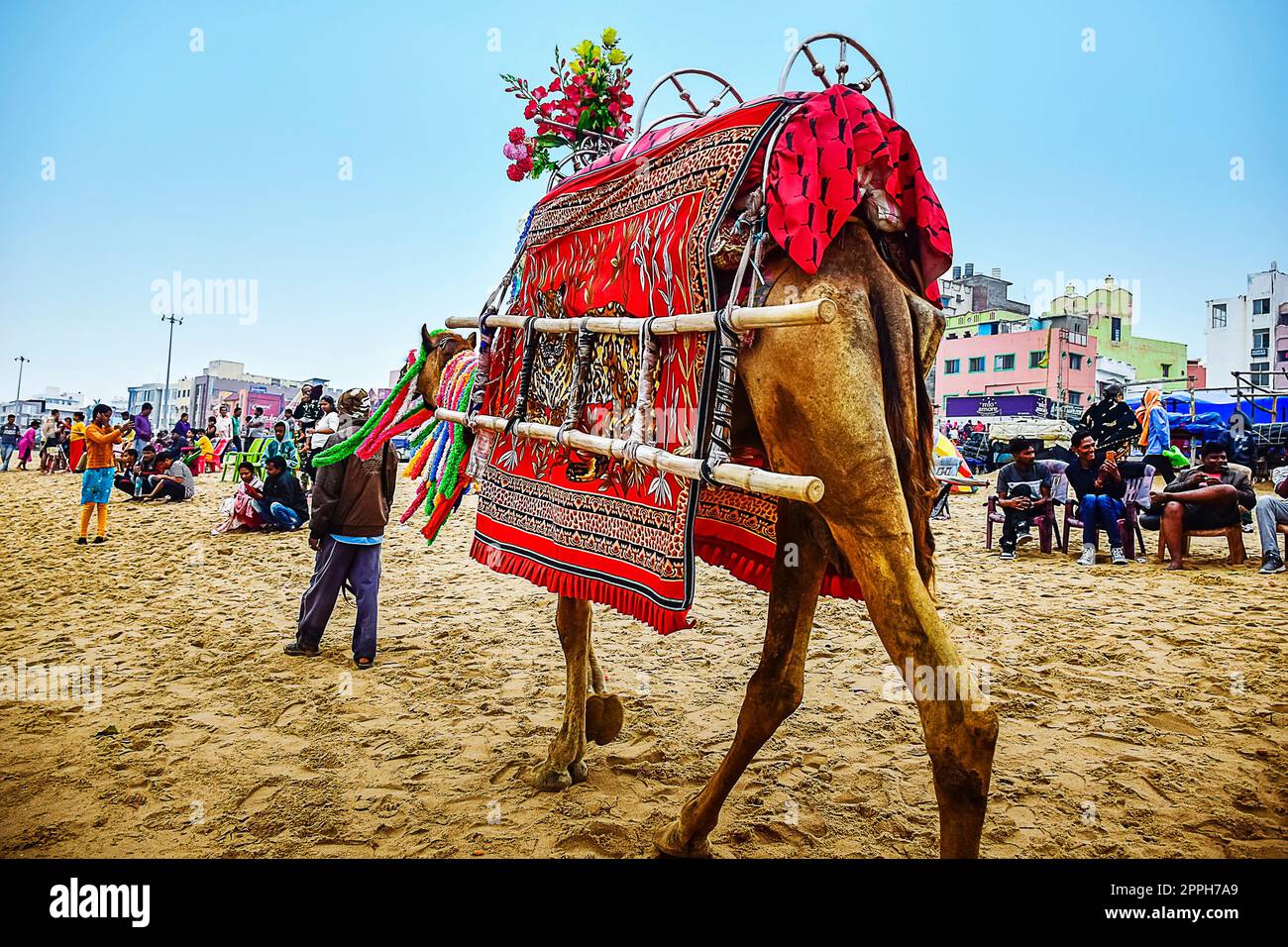 Décoré Camel et Camel homme errant sur la plage de Puri à la recherche de l'affaire de loyer parmi les gens viennent pour le tour et le voyage. Banque D'Images