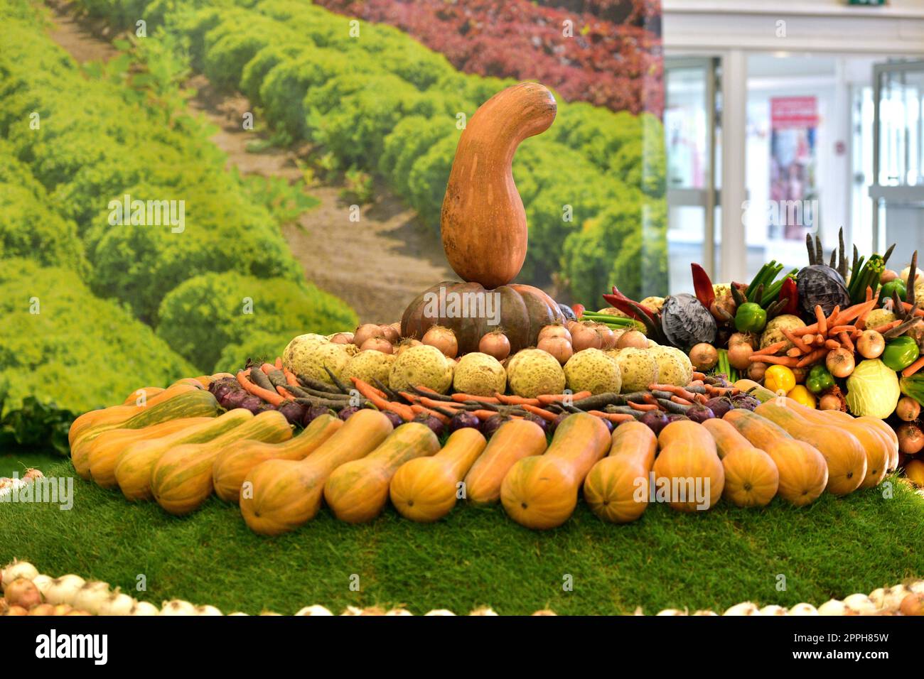 Décoration avec différents types de légumes Banque D'Images
