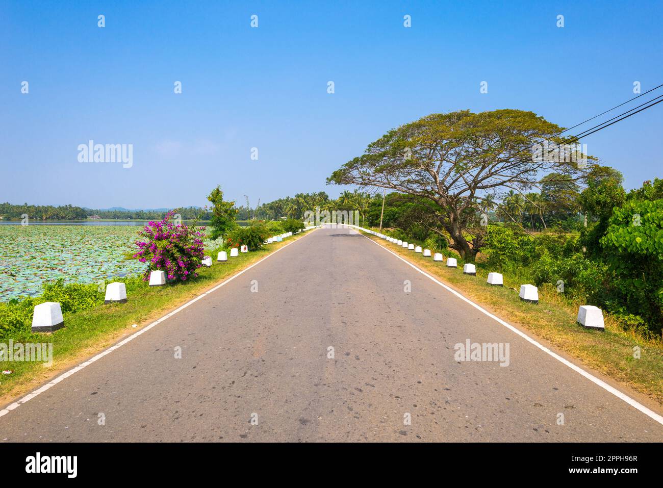 Route le long du réservoir d'eau Udukiriwala Wewa près de la petite ville Weeraketiya dans le sud du Sri Lanka Banque D'Images Route le long du réservoir d'eau Udukiriwala Wewa près de la petite ville Weeraketiya dans le sud du Sri Lanka Banque D'Images