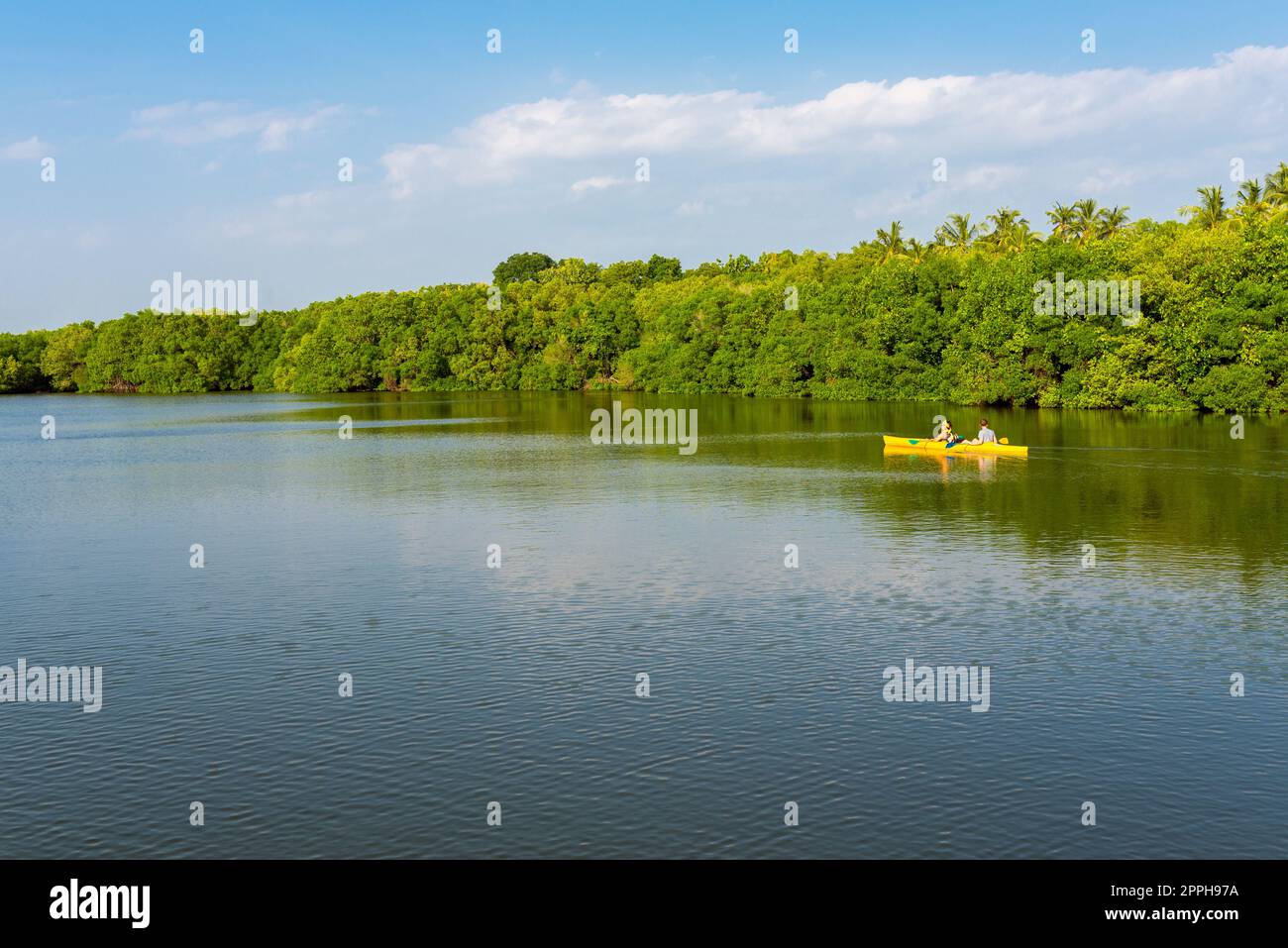 Grande lagune côtière panoramique à Rekawa près de la petite ville de Tangalle, au Sri Lanka Banque D'Images