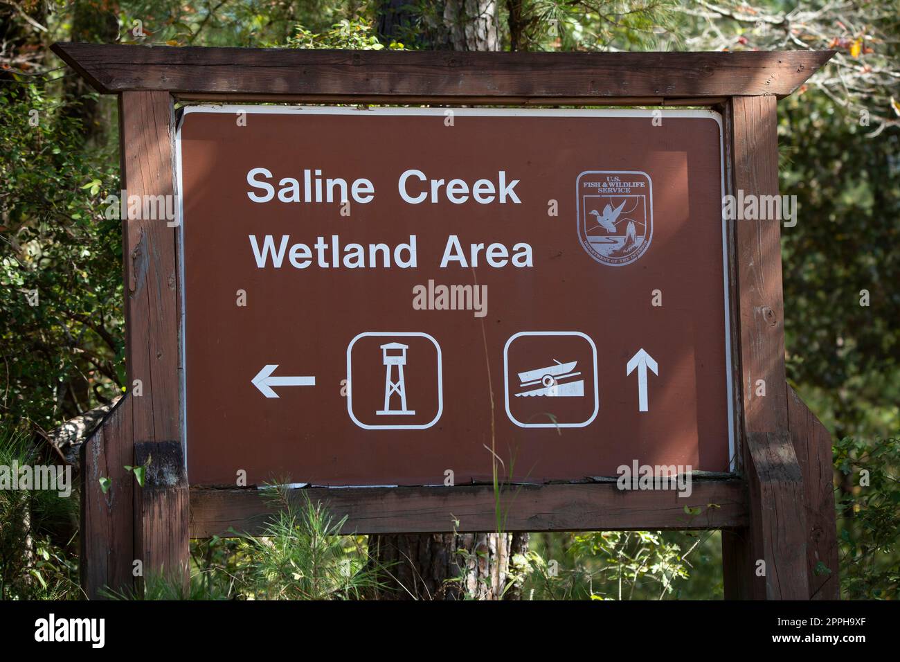 Panneau Saline Creek et Wetlands Area à la réserve faunique nationale d'Arbonne Banque D'Images