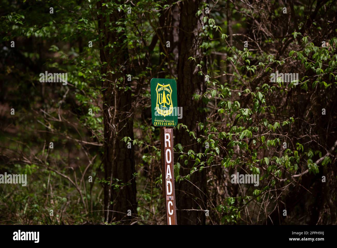 Marqueur de fermeture de la route forestière nationale Banque D'Images