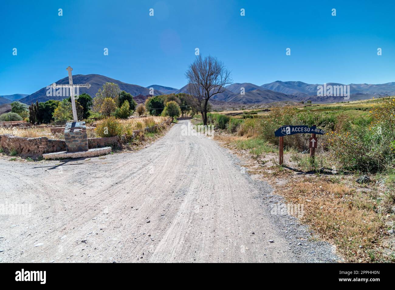 La célèbre route 40 dans les Andes argentines de l'Amérique du Sud Banque D'Images