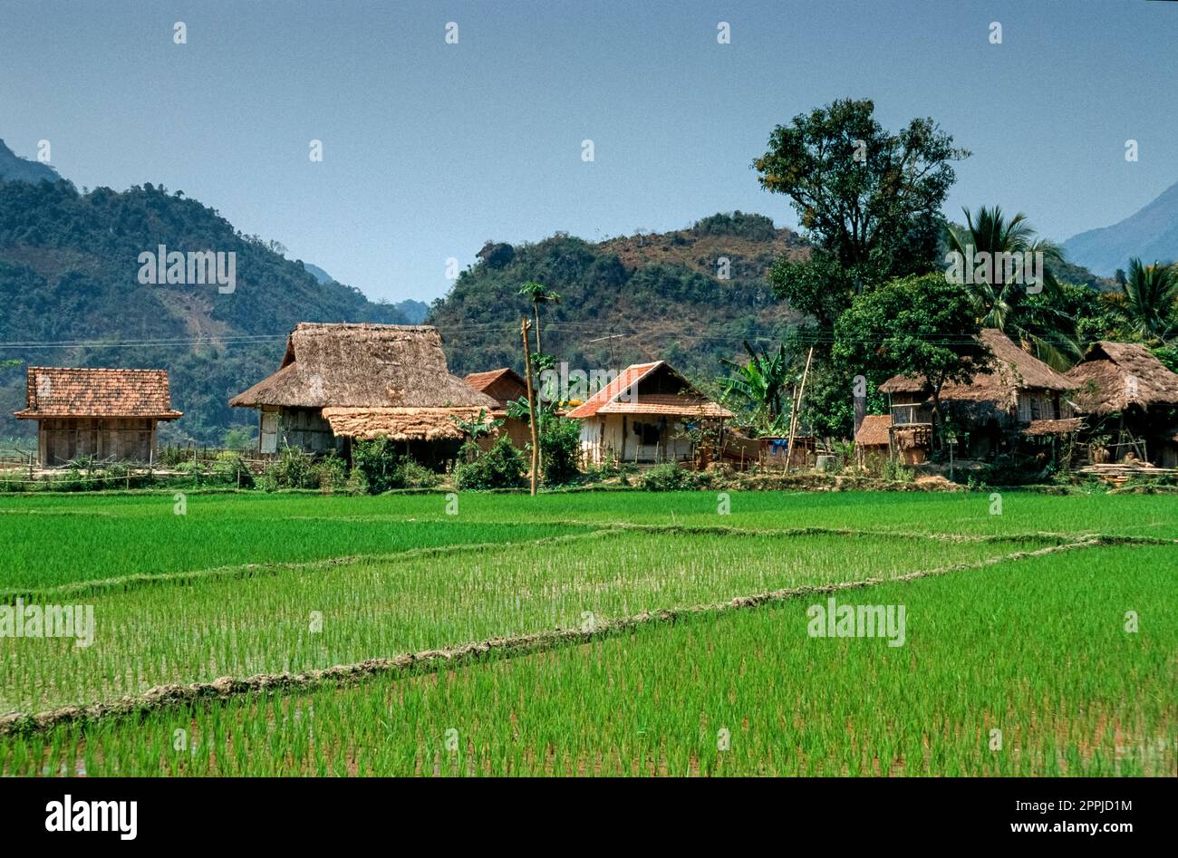 Diapositive numérisée d'une photographie historique en couleur de la « vallée de la rivière Rouge » dans le nord du Vietnam, habitat de la minorité ethnique des « Hmong fleuris » Banque D'Images