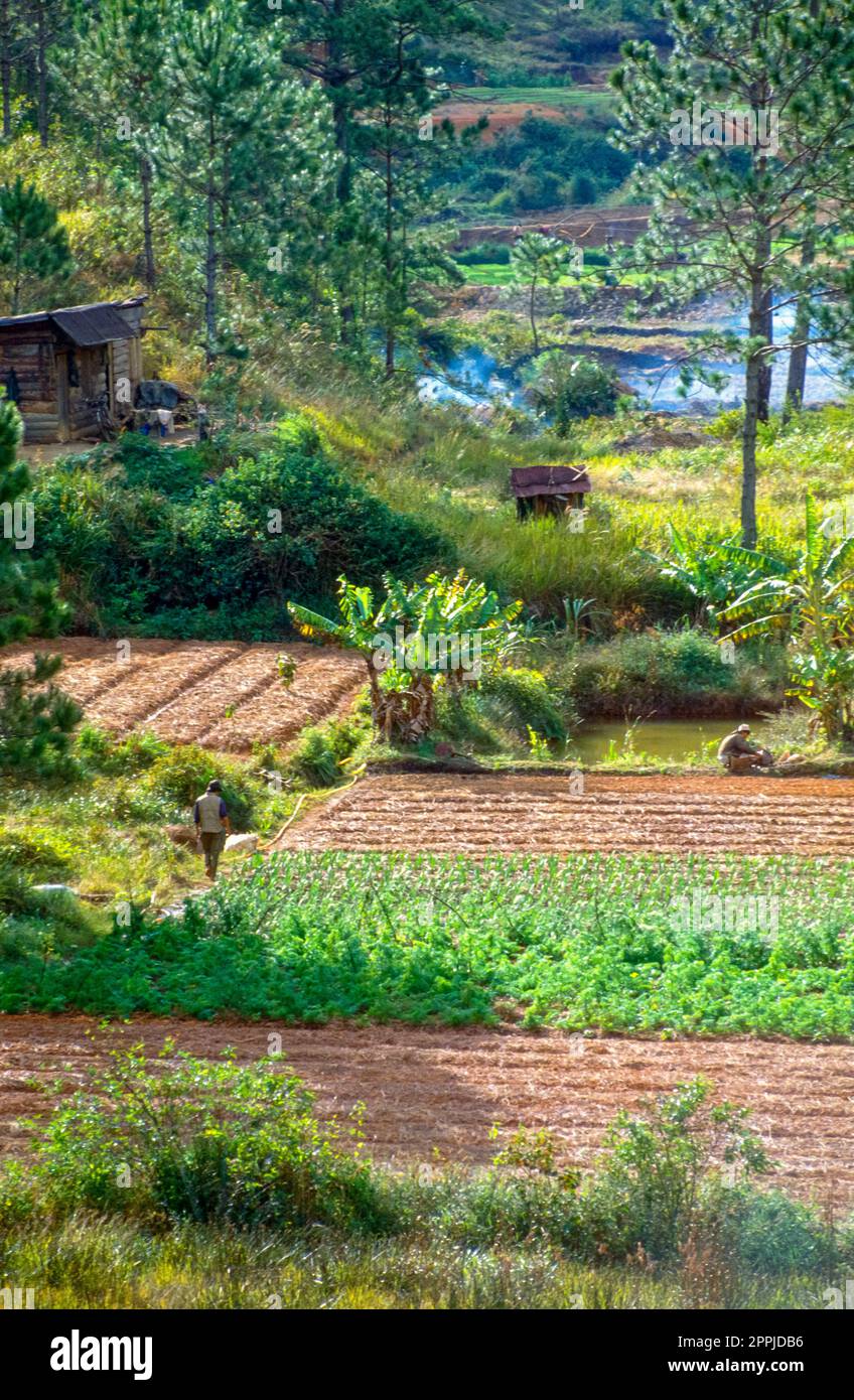 Diapositive numérisée d'une photographie historique en couleur de la « vallée de la rivière Rouge » dans le nord du Vietnam, habitat de la minorité ethnique des « Hmong fleuris » Banque D'Images