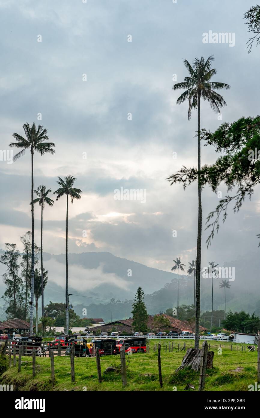 Colombie - 14 octobre 2022 : vallée de la palmeraie de Cocora en Amérique du Sud Banque D'Images