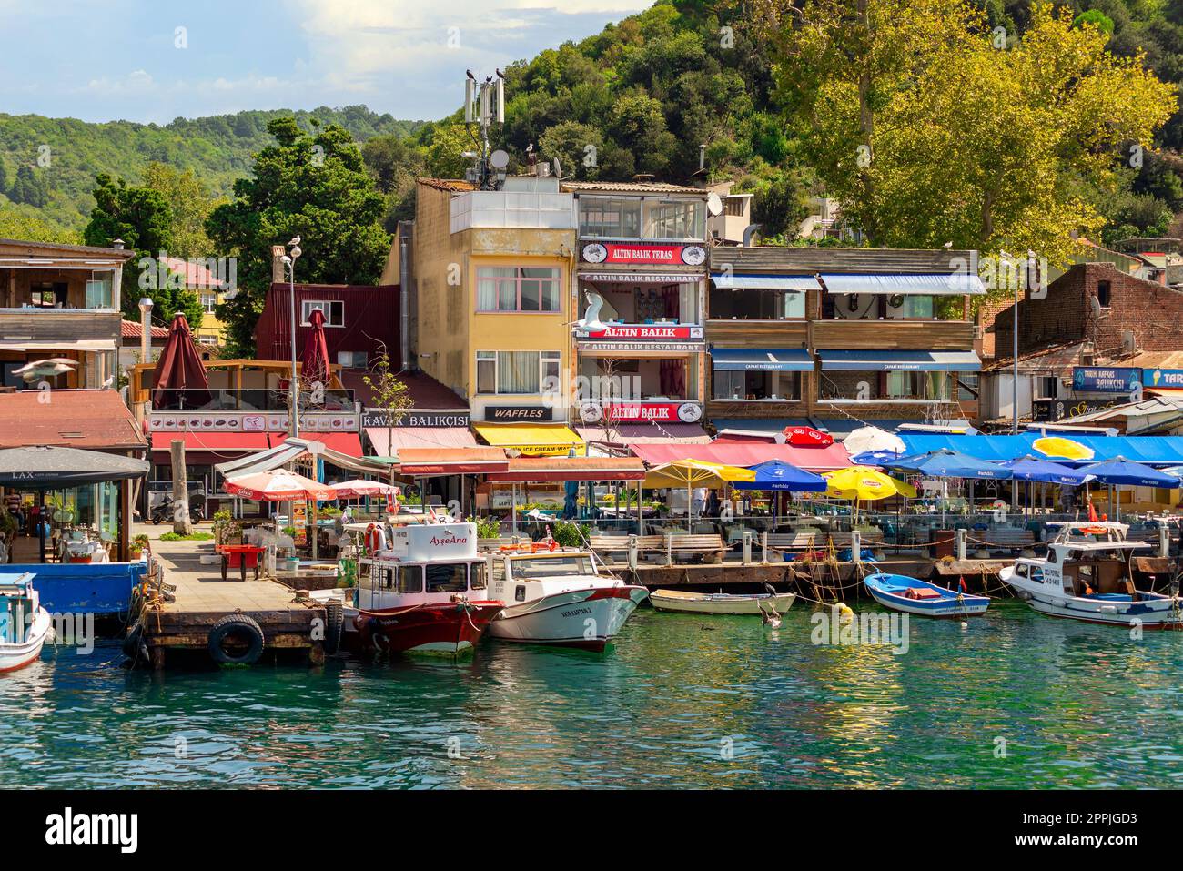 Montagnes vertes du détroit du Bosphore dans le district d'Anadolu Kavagi, avec des bateaux amarrés, des maisons et des arbres denses en été Banque D'Images