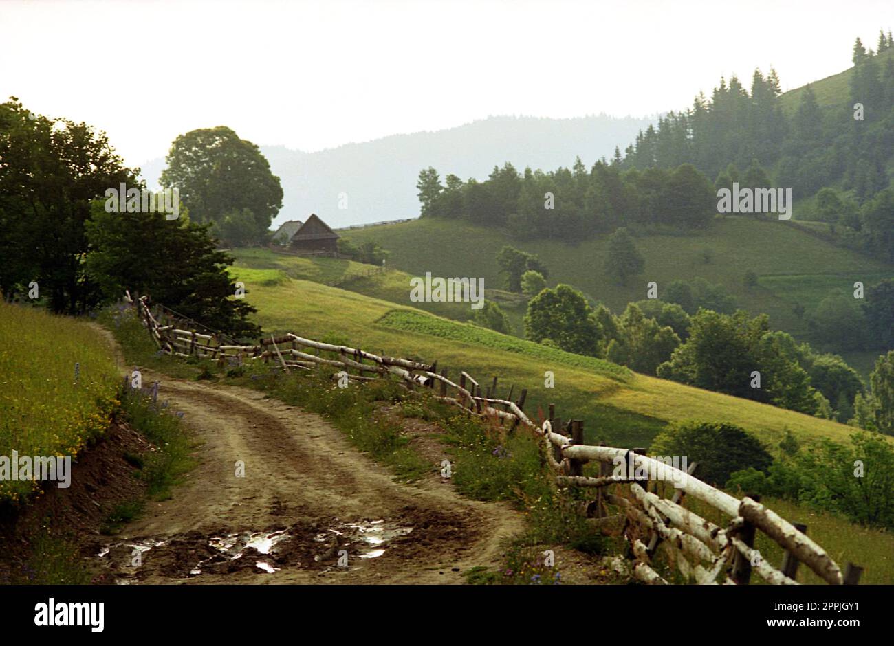Bran, comté de Brasov, Roumanie, environ 1999. Route de terre boueuse sur la montagne. Banque D'Images
