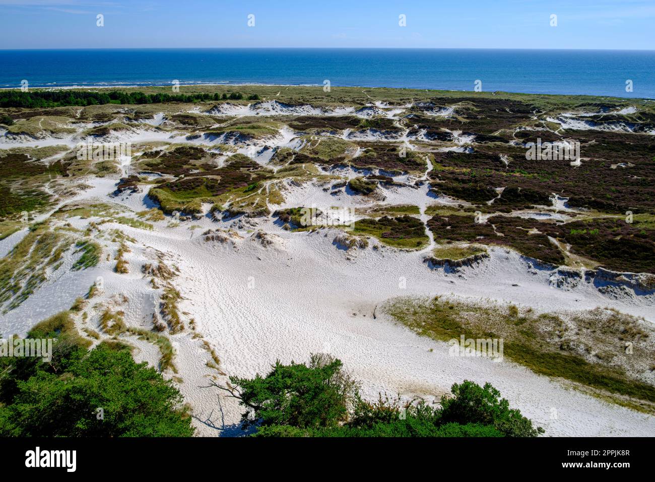 Dunescape de Dueodde Strand, la plage de sable à la pointe sud-est de l'île de Bornholm, Danemark. Banque D'Images